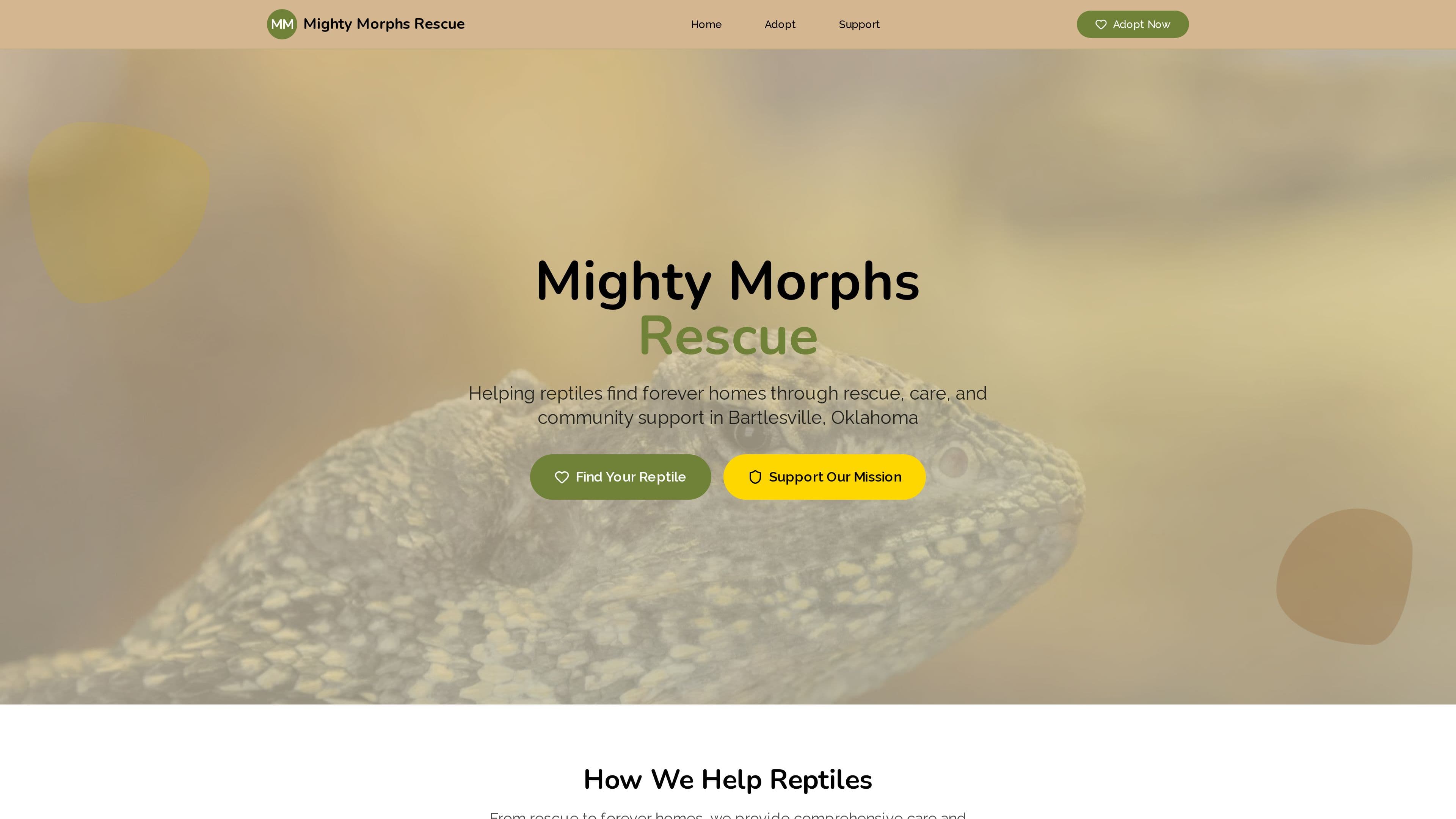 Mighty morphs Rescue