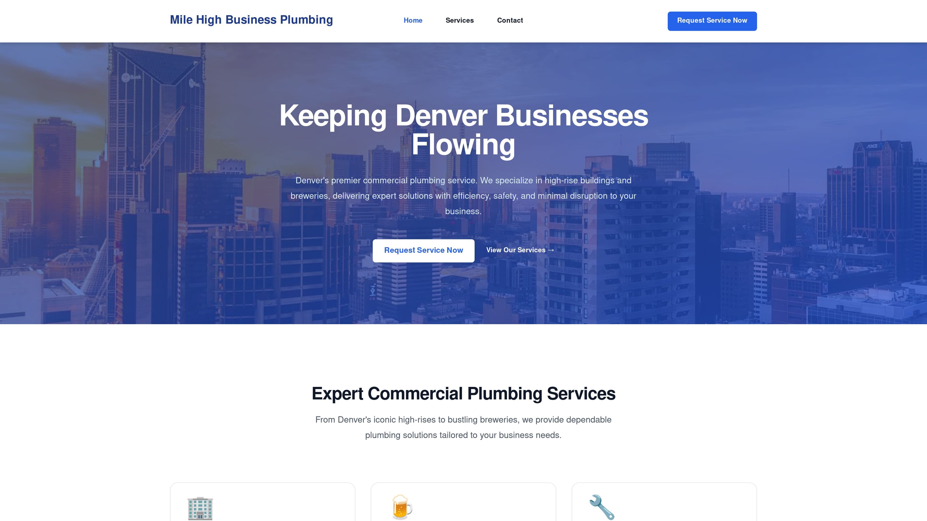 Mile High Business Plumbing
