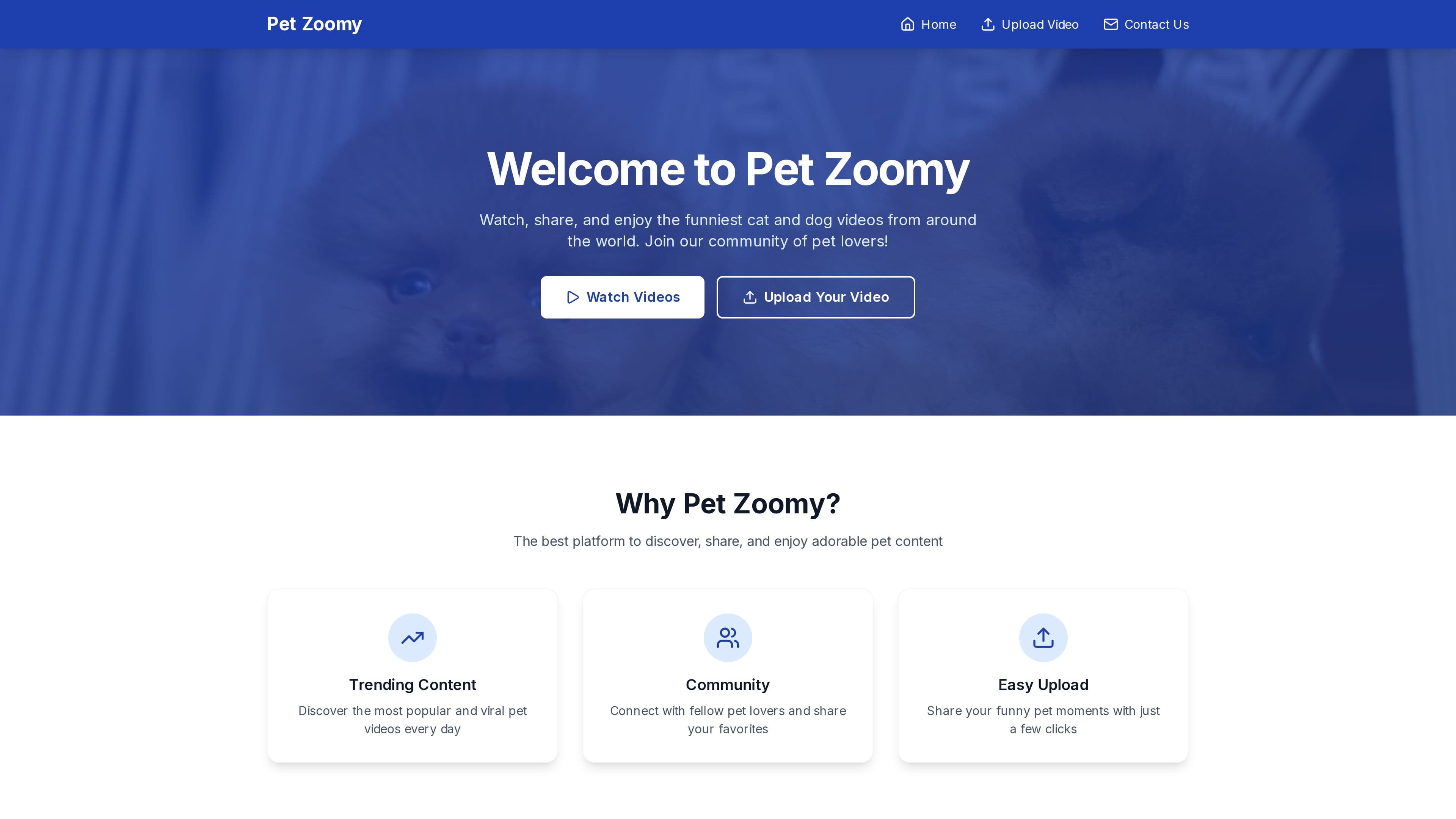 Pet Zoomy