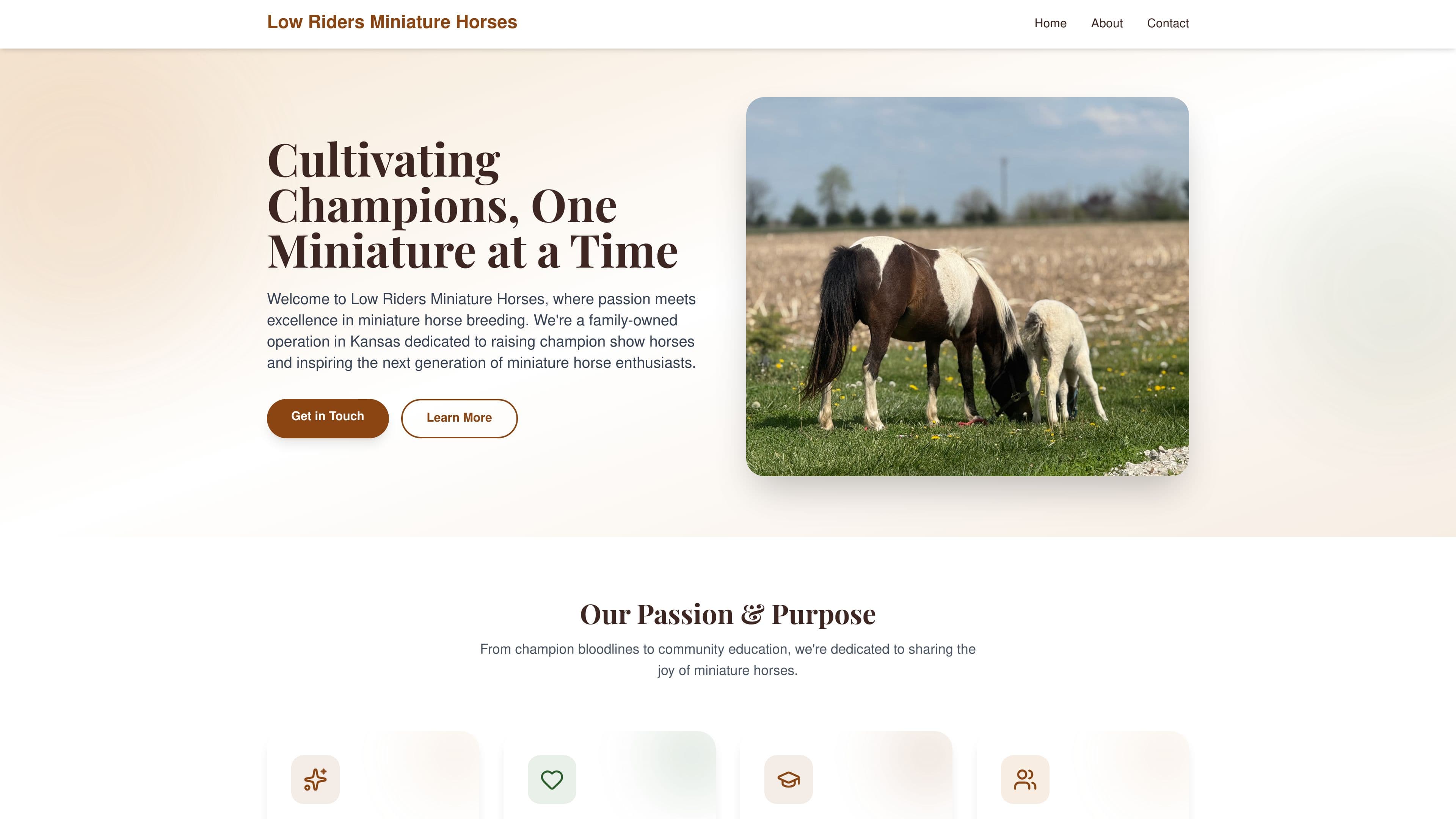 Low Riders Miniature Horses