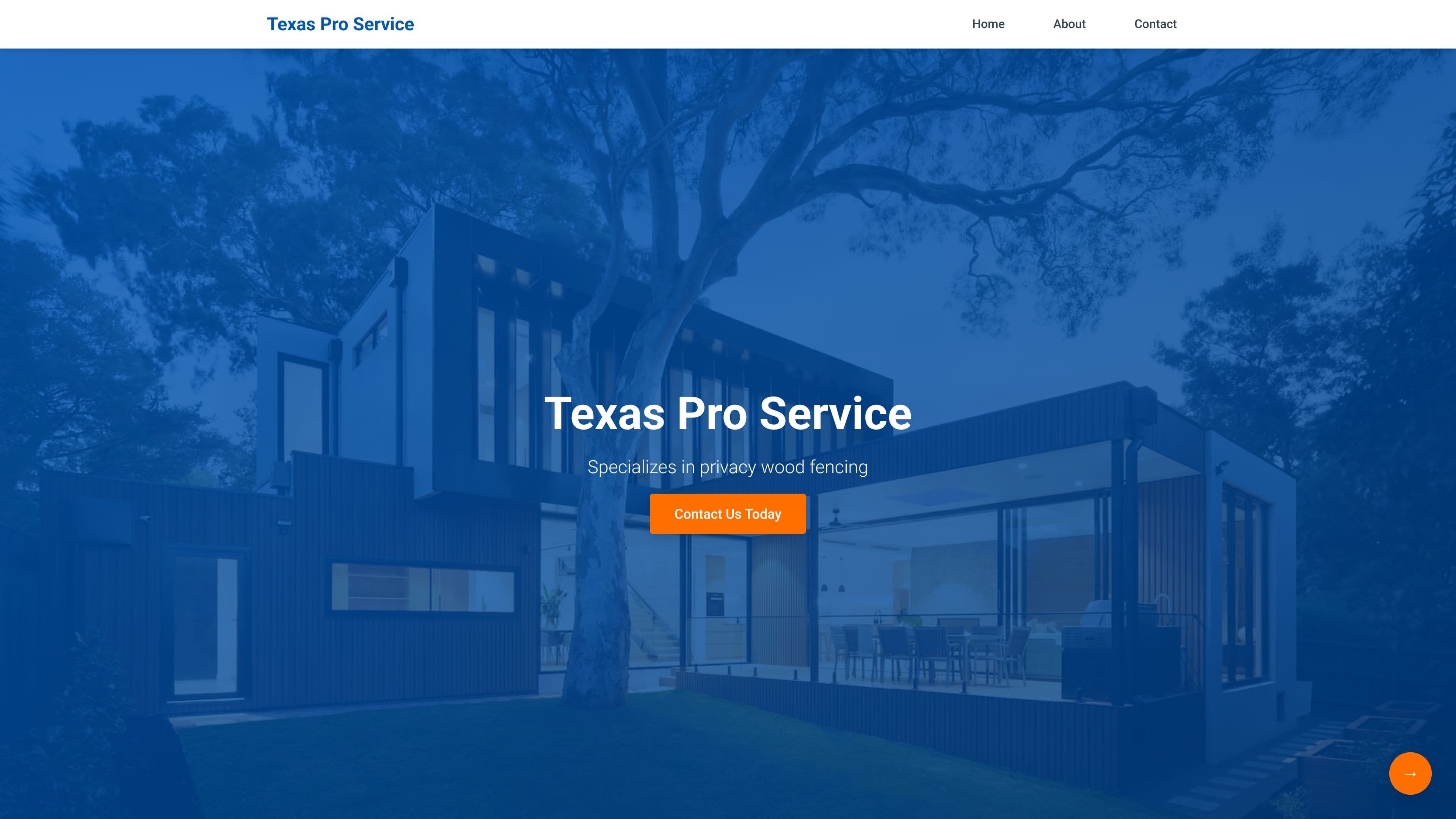 Texas Pro Services