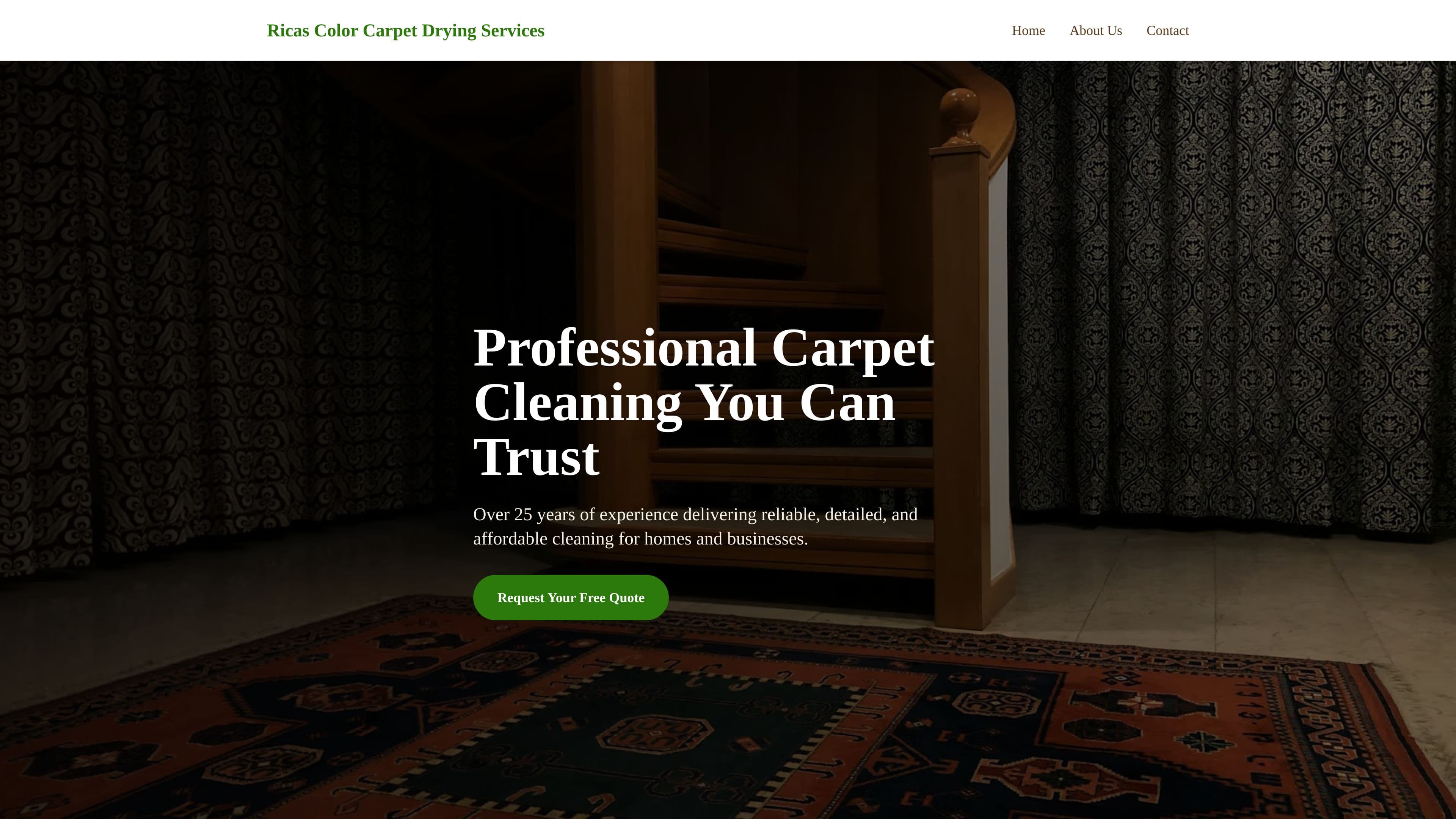 Ricas color carpet drying services