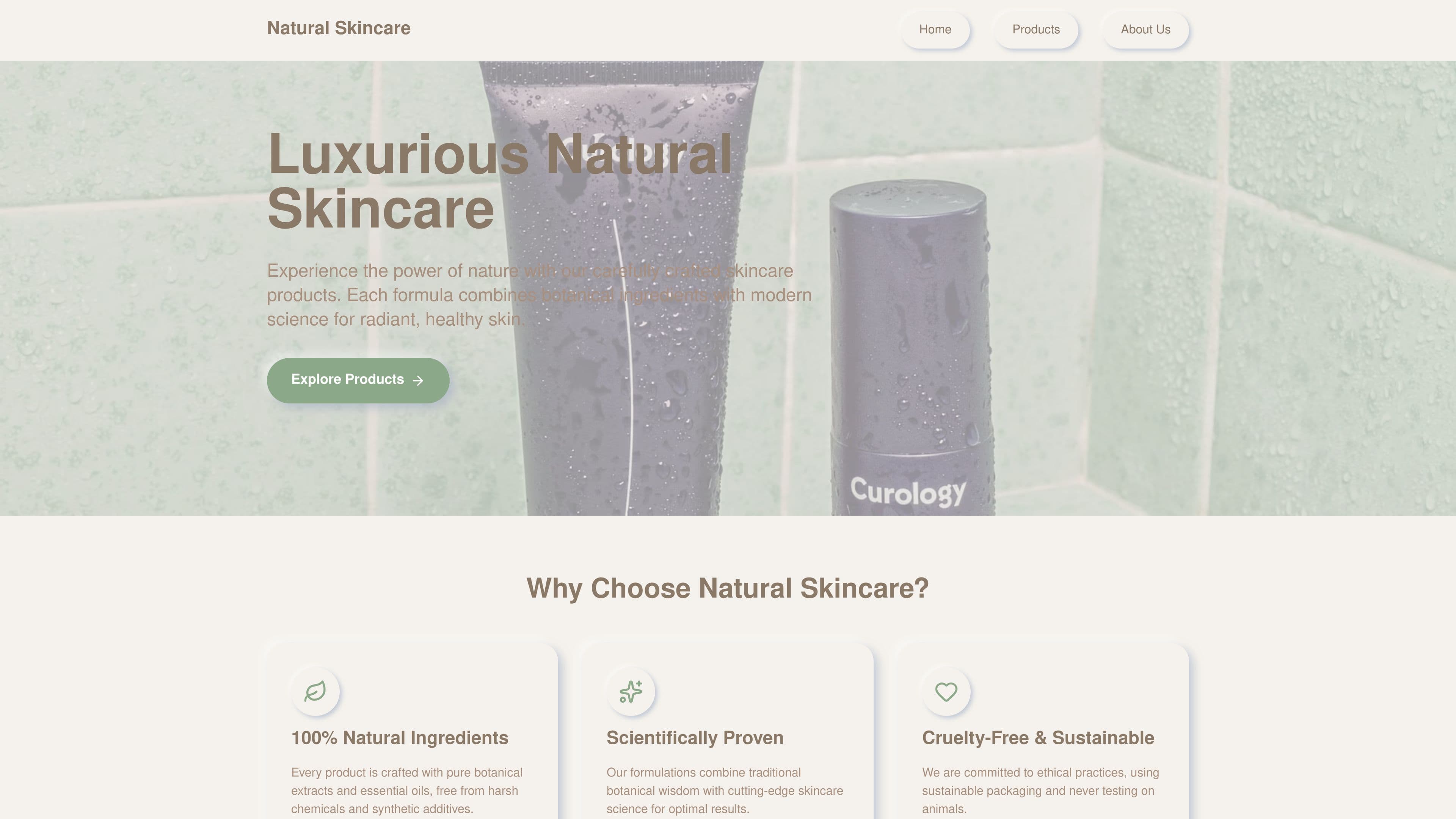 J.P Extremez Painting 