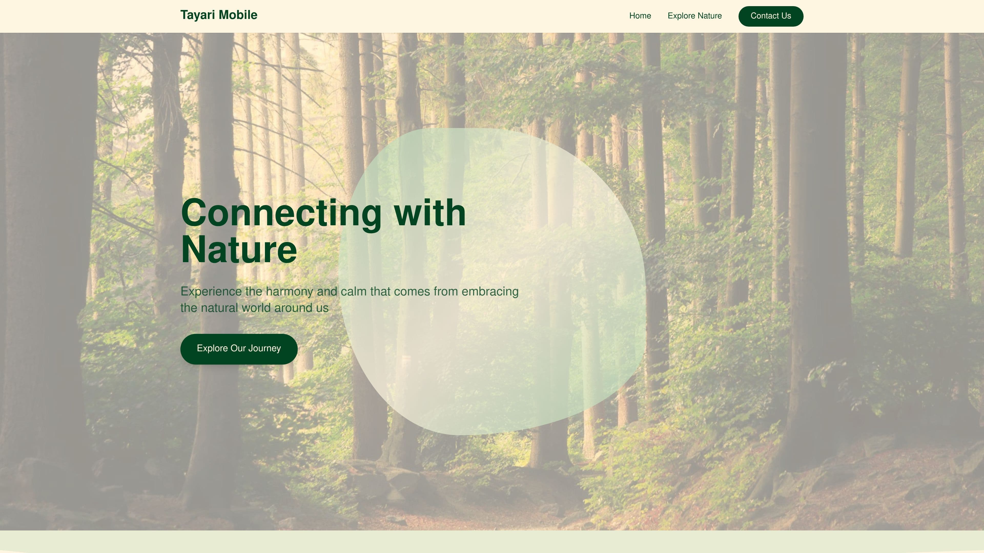 TAYARI MOBILE CLEANING SERVICES 