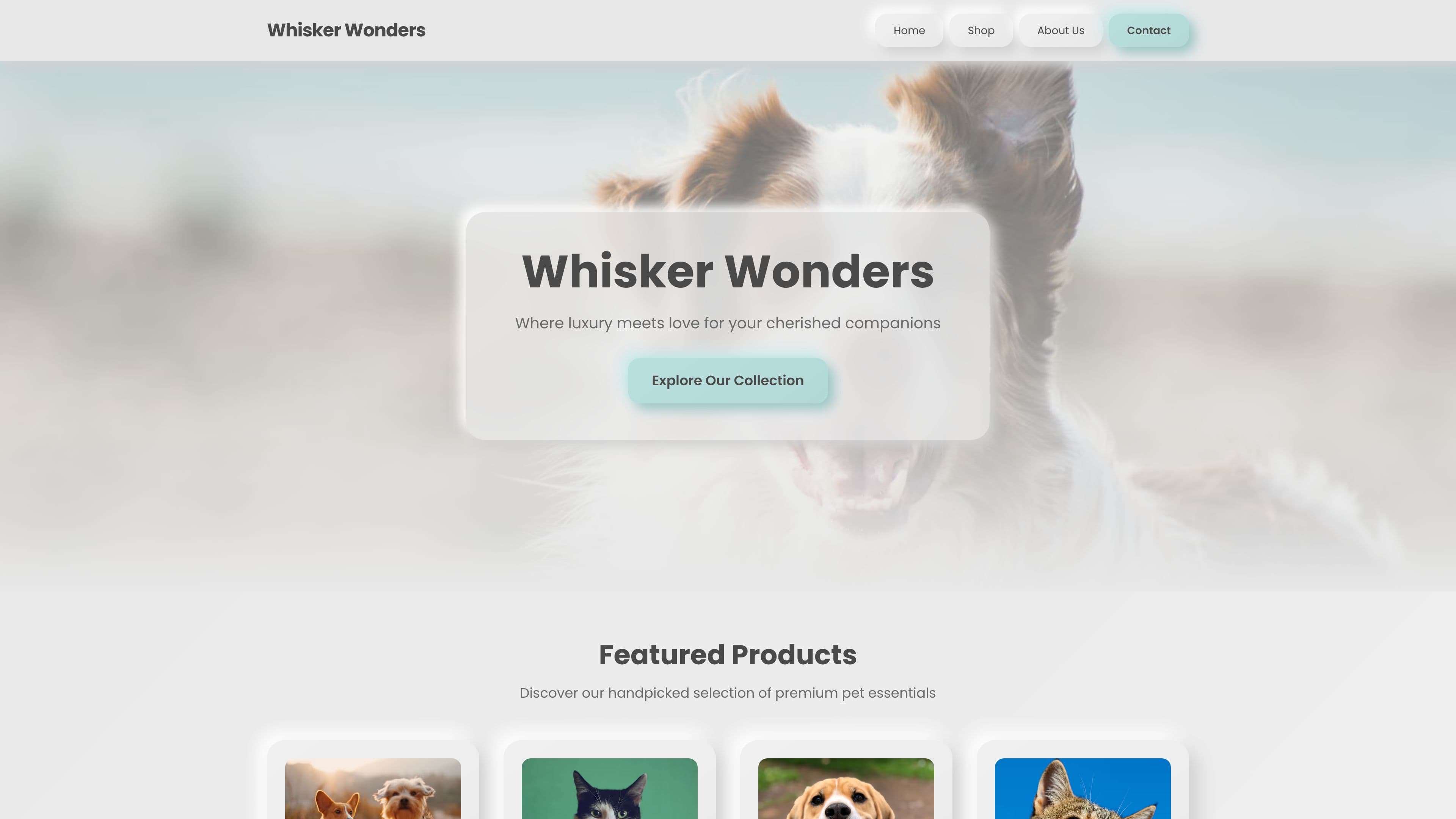 Following Jesus Outreach Soul Winning Ministry