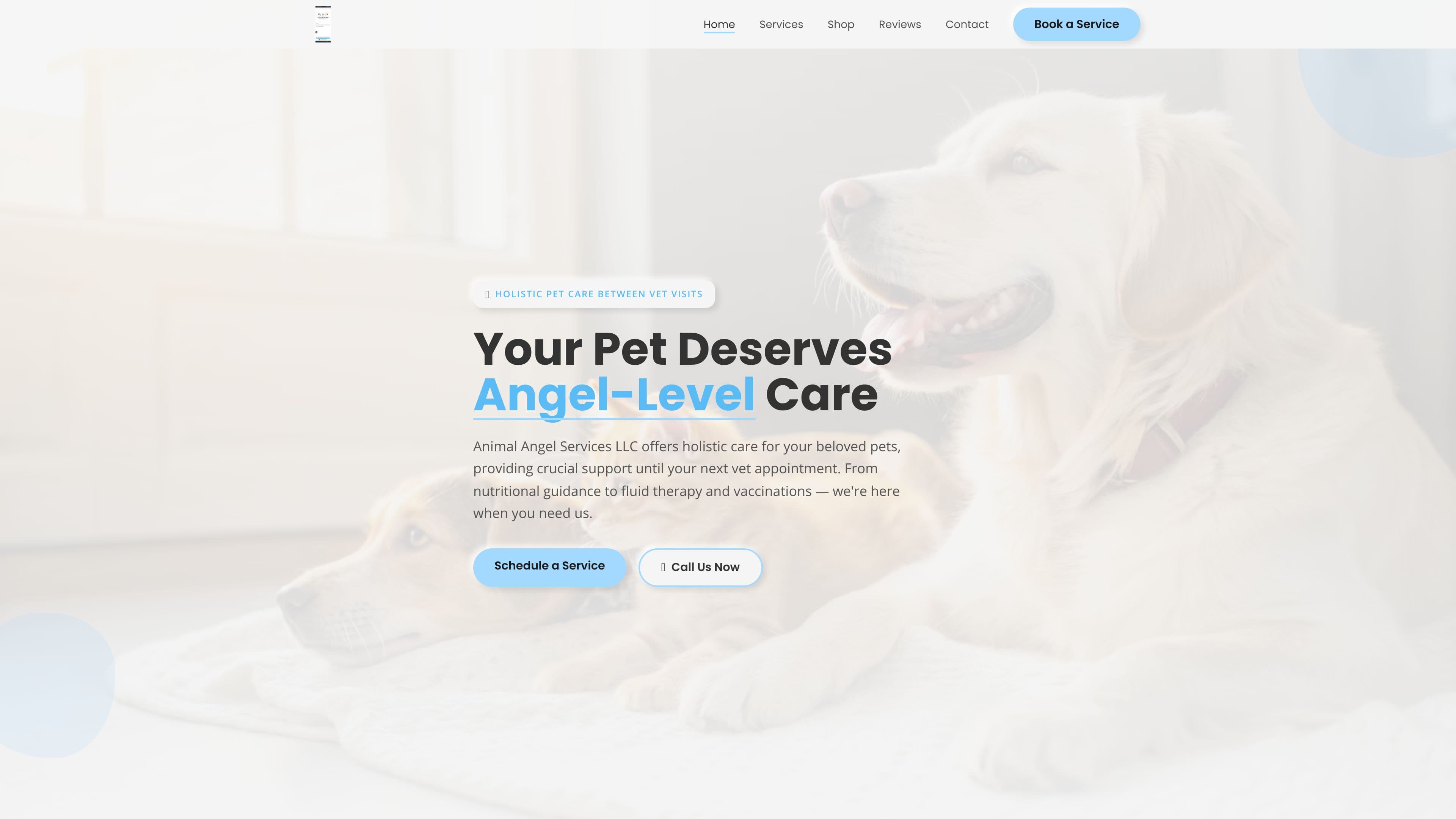Animal angel services llc