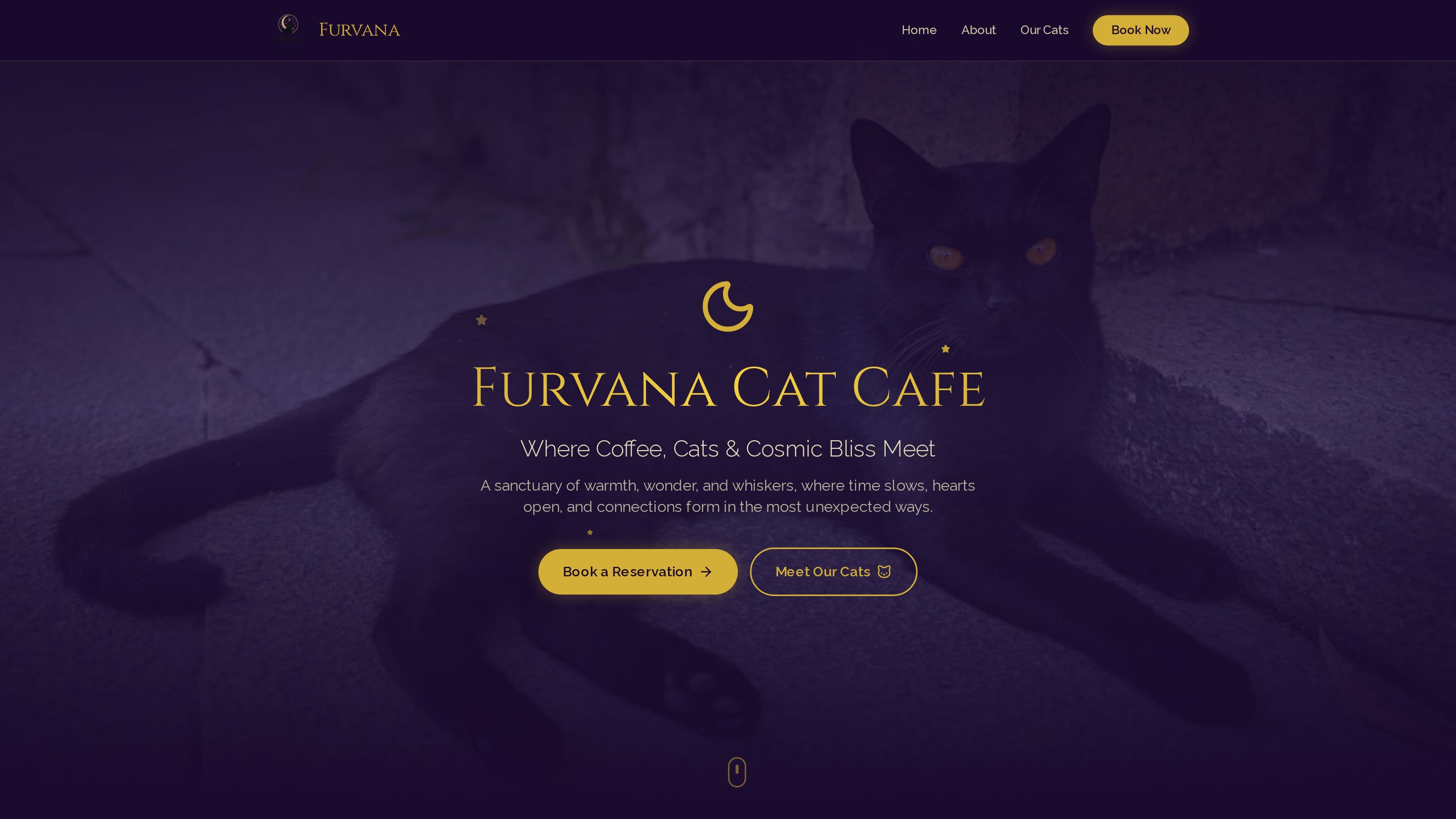 Furvana Cat Cafe