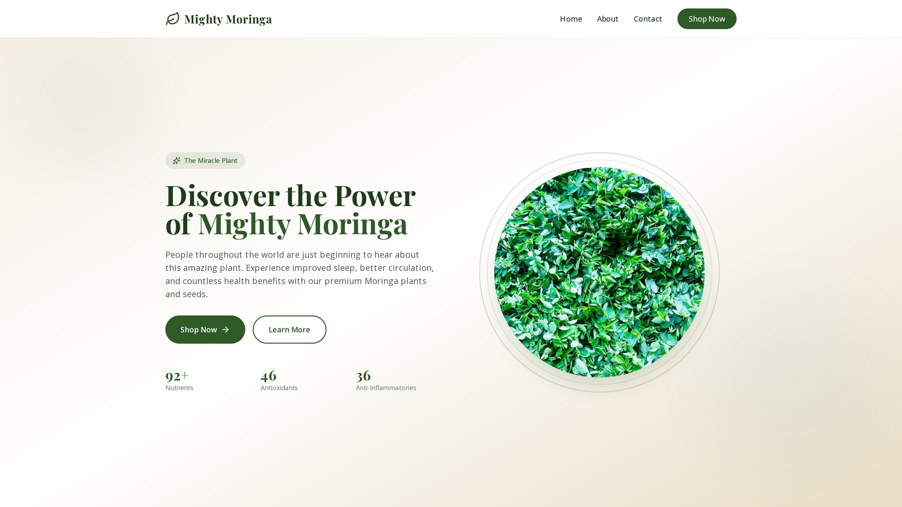 Mighty Moringa